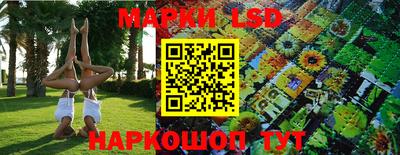 гашик Новодвинск