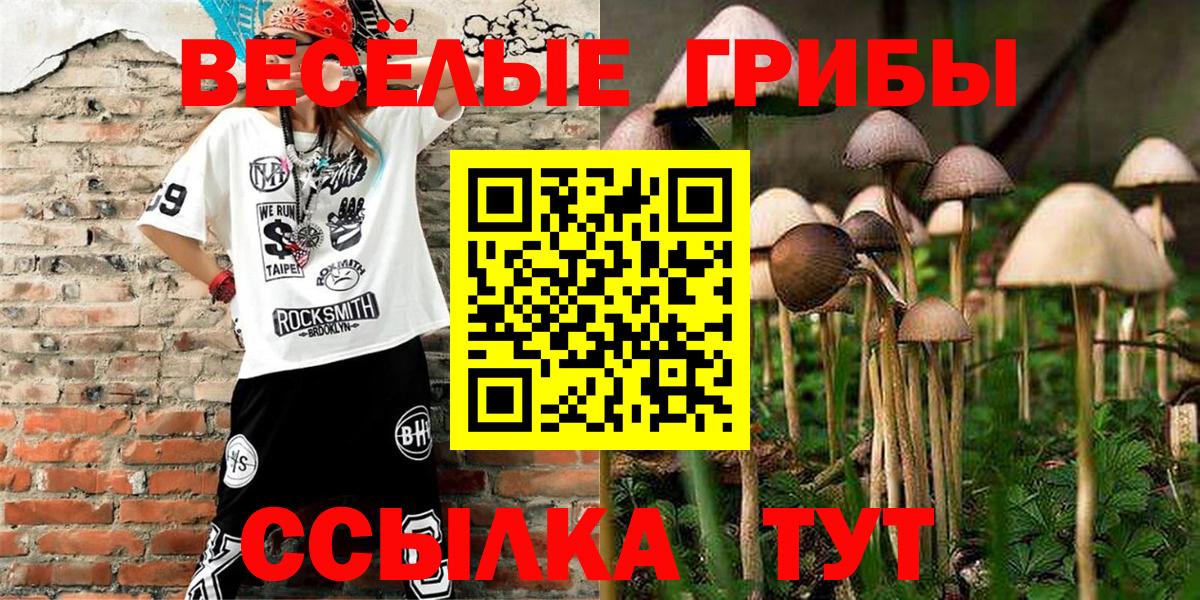 Псилоцибиновые грибы прущие грибы Троицк