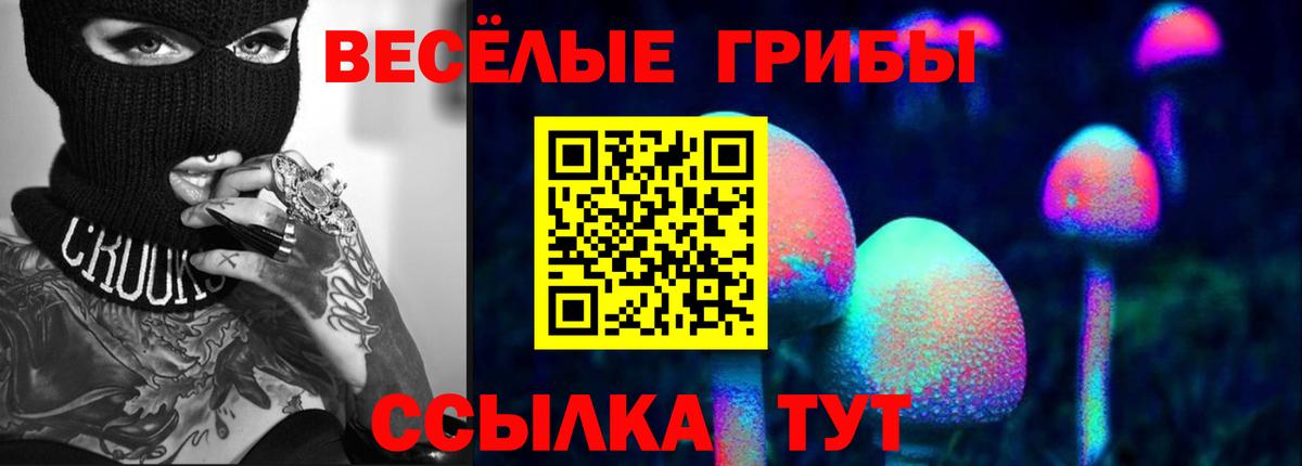 Троицк  Галлюциногенные грибы ЛСД  Вход с VPN 
